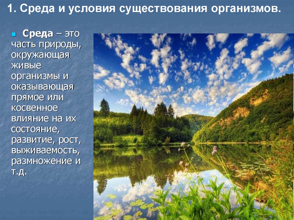 Закономерность живой природы. Среда это часть природы. Часть природы окружающая живые. Часть природы окружающая живые организмы и оказывающая на них. Чем отличается природа от окружающей среды.