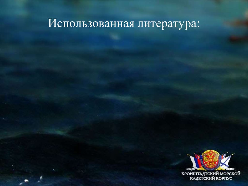 Использованная литература: