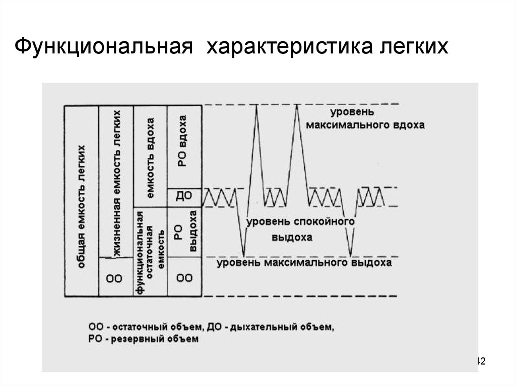 Схема легочных объемов. Объем легочной вентиляции. Легочная вентиляция схема. Дыхательный коэффициент физиология.