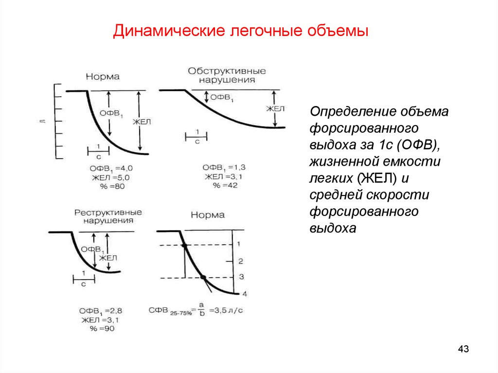 Нормальные процессы. Динамические легочные объемы. Дайте определения объем форсированного выдоха. Этапы проведения ОФВ ОФВ. Определить форсирующую емкость.