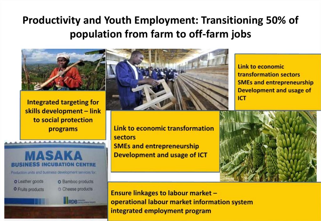 Productivity and Youth Employment: Transitioning 50% of population from farm to off-farm jobs