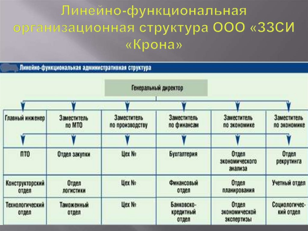Линейно функциональная организационная структура. Примеры ООО поп.