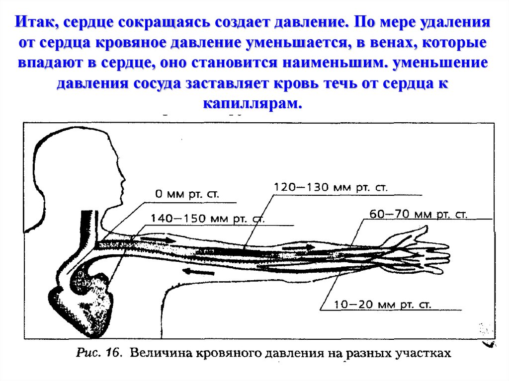 Давление в различных сосудах. Кровяное давление в венах. Сердце сокращаясь создает давление. Давление крови в артериальных сосудах. Изменение давления крови.