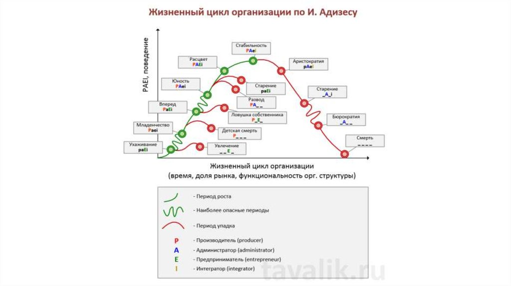 Адизес управление жизненным. Организационная структура по Адизесу. Модель жизненного цикла Адизеса. Интегратор по Адизесу. Организационное здоровье Адизес.