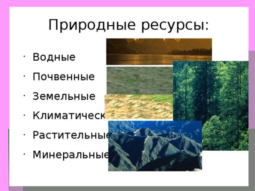 Вид природных богатств. Природные ресурсы Минеральные водные. Минеральные водные земельные ресурсы. Природные ресурсы Минеральные водные земельные Лесные. Природные богатства растения.