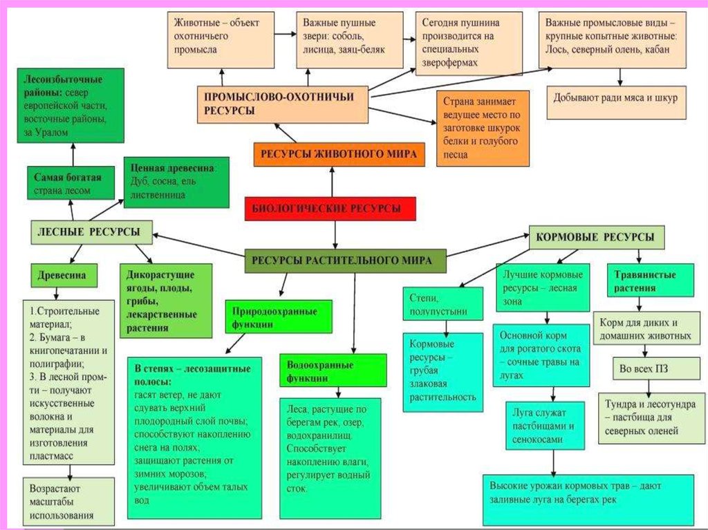 Пищевые и природные ресурсы. Биологические ресурсы таблица. Природные ресурсы схема. Биологические ресурсы схема.