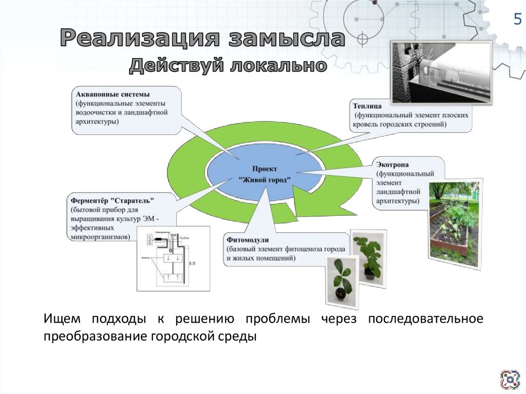 Структура замысла социально культурного проекта