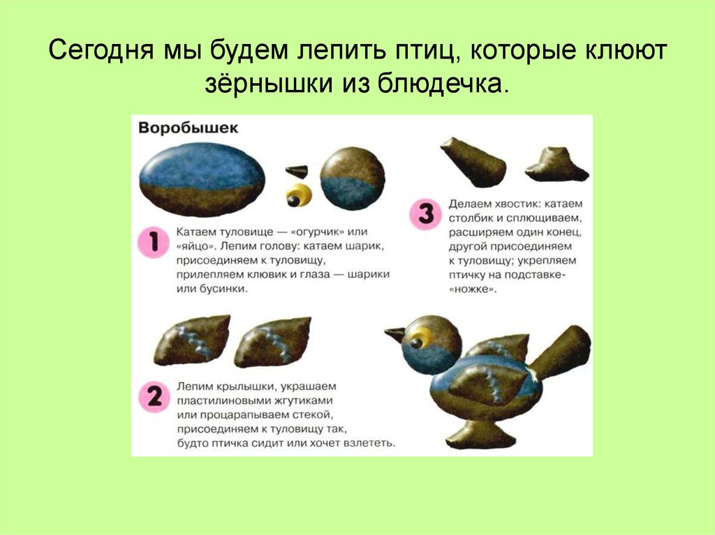 Птичка конспект. Птички клюют зернышки лепка средняя группа. Схема лепки птички. Лепка Воробей в старшей группе. Лепка птичка в средней группе.