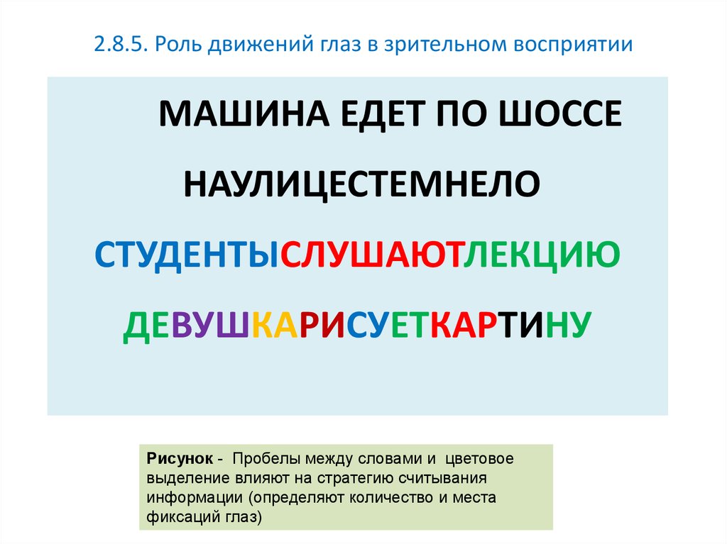 Роль движений глаз в организации зрительного восприятия.. Роль движения глаза в зрительном восприятии. Значение движения глаз в зрительном восприятии.