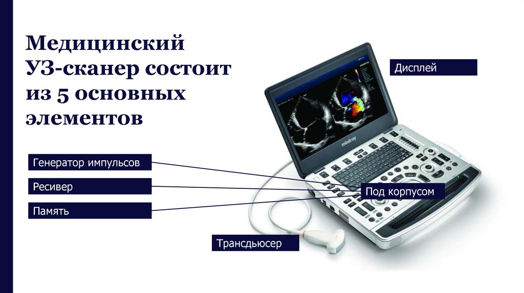 Уз сканер с биопсийным датчиком что это