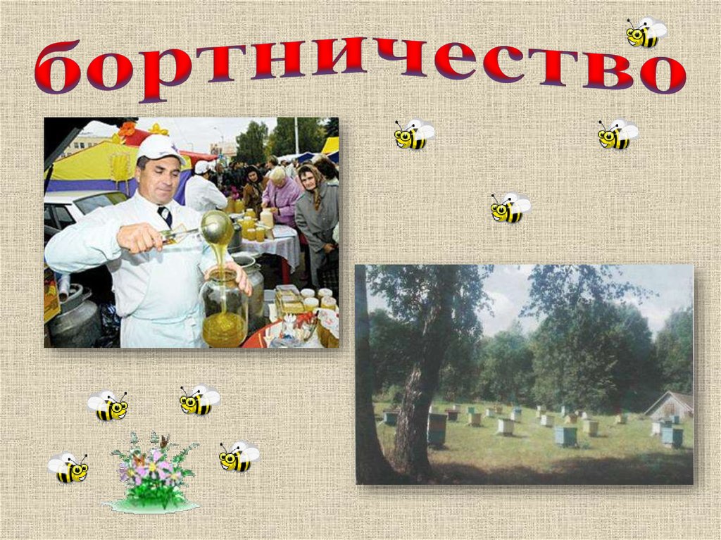 бортничество