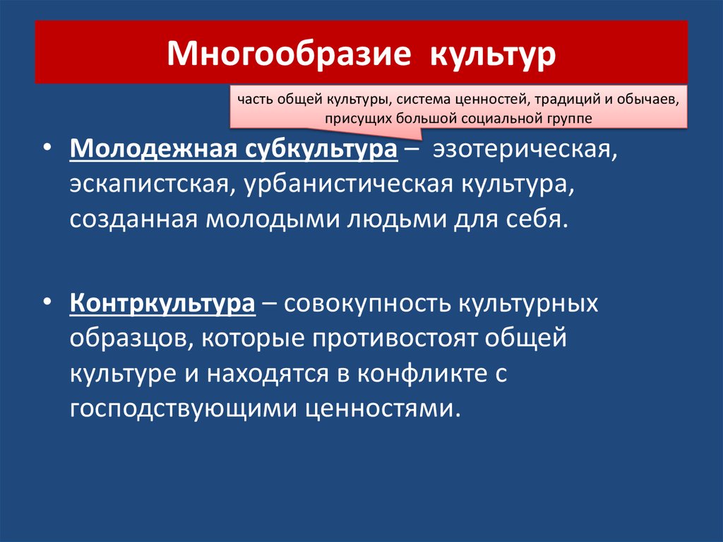 Принцип многообразия. Многообразие культур. Разнообразие Мировых культур. Культурное многообразие. Многообразие народных культур.