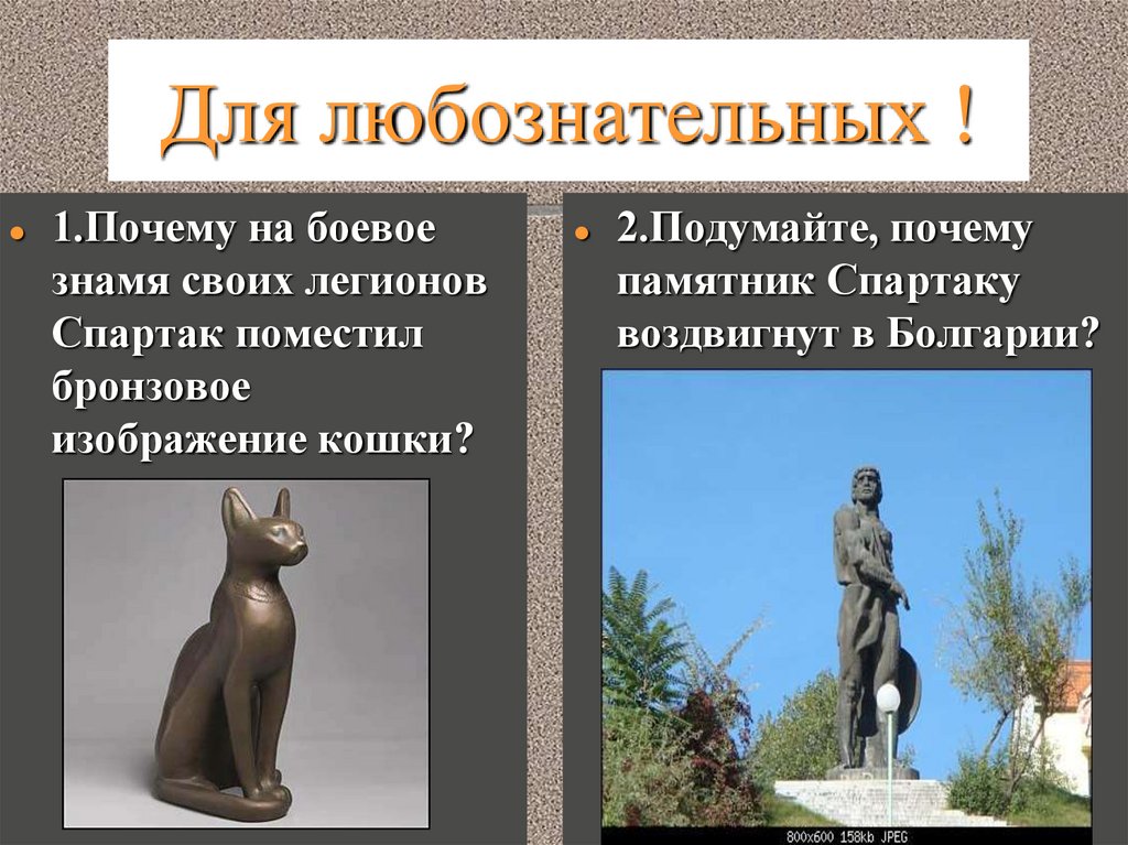 На боевое знамя своих легионов спартак поместил бронзовое изображение кошки предположите почему