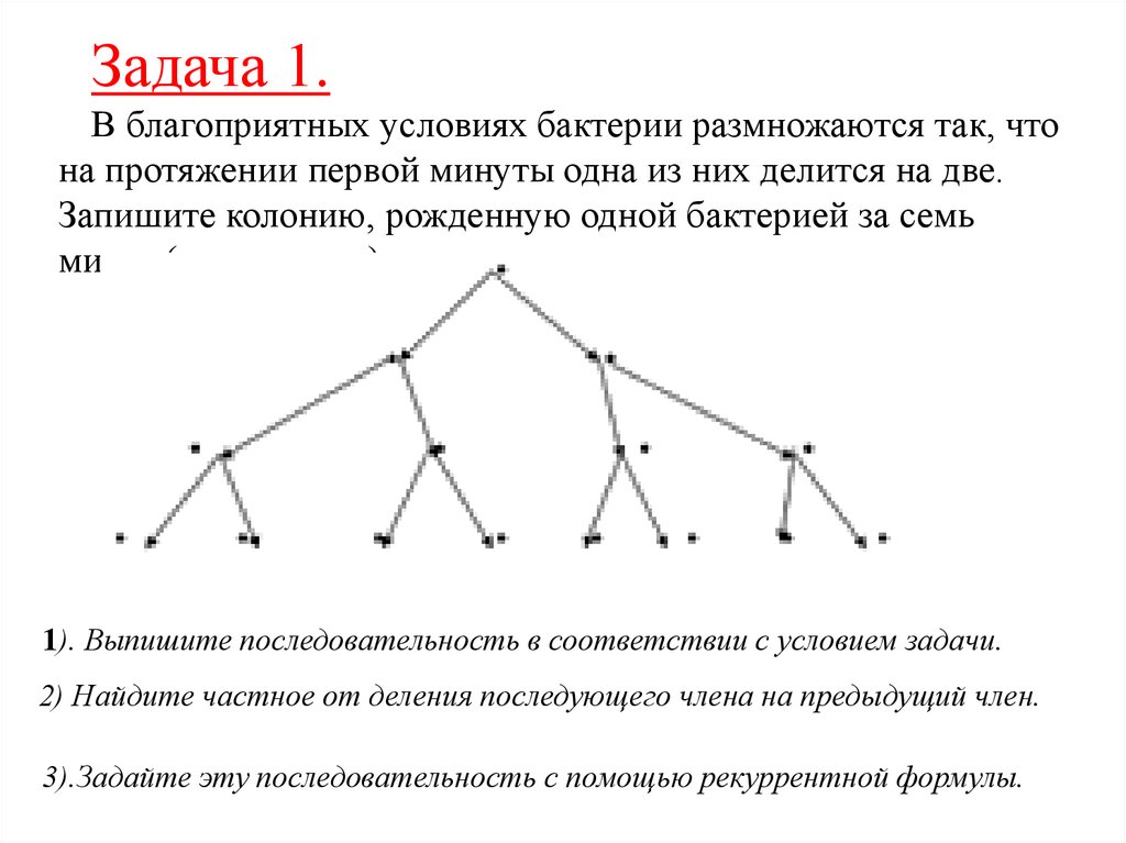 Задача про бактерии. Графический способ задания последовательности. Способы задания и свойства числовых последовательностей. Способы задания и свойства числовых последовательностей лекция. Свойства числовых последовательностей.