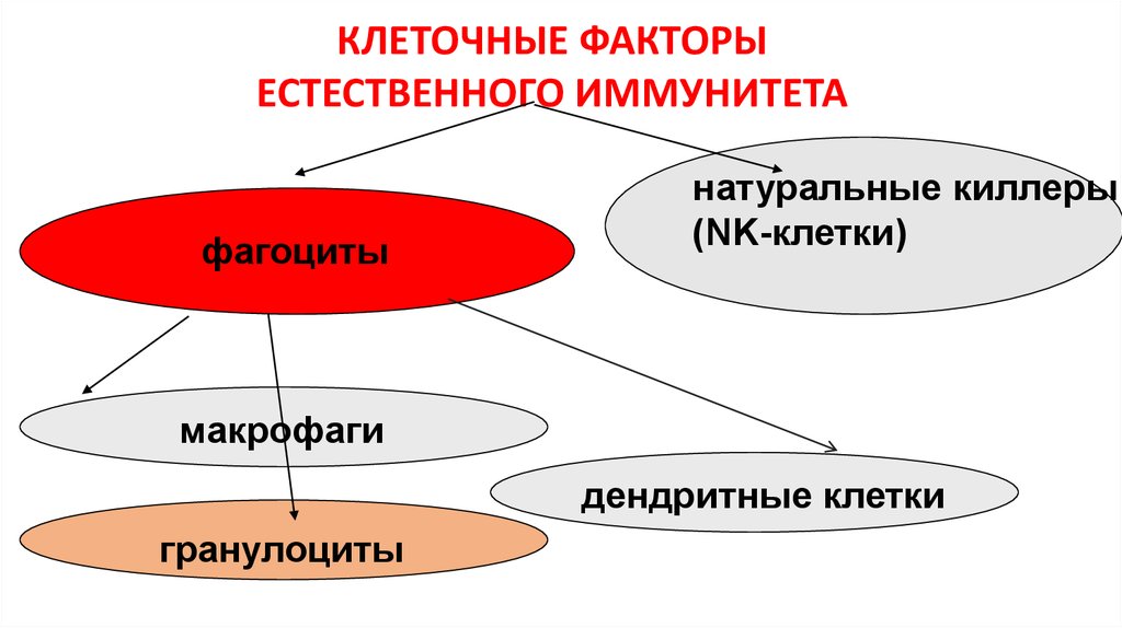 Естественный механизм