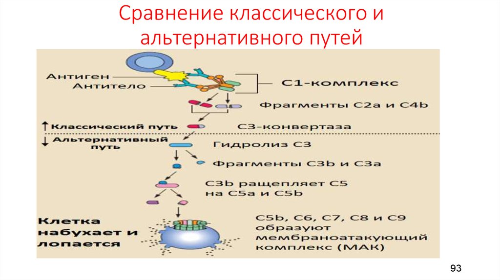 Естественный механизм. Альтернативные пути картинки. Альтернативный путь stock.