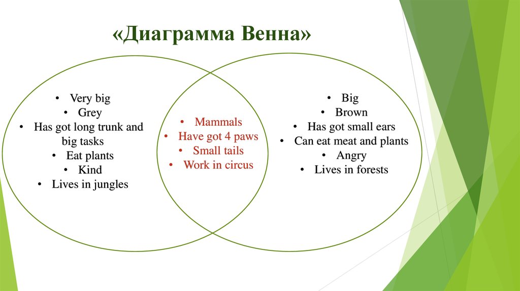 Диаграмма венна как построить