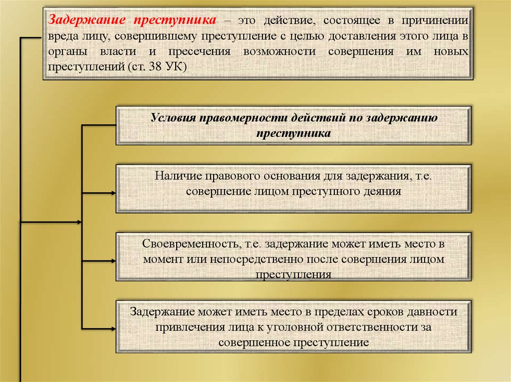 Действие состоит. План задержания преступника. Цели задержания лица совершившего преступление. Схемы задержания преступника. Условия правомерности задержания преступника.