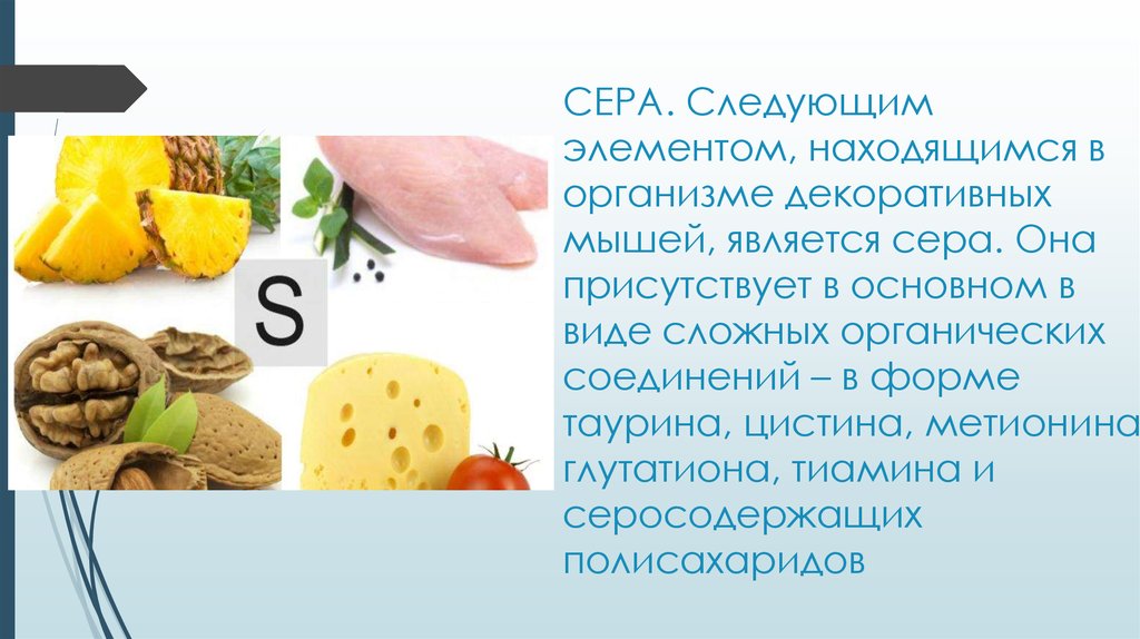 Она сера. Серосодержащие продукты. Ацетил-глутатион в каких продуктах содержится. Серосодержащие соединения в еде. Серосодержащие продукты для человека.