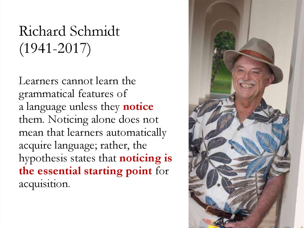 schmidt noticing hypothesis pdf