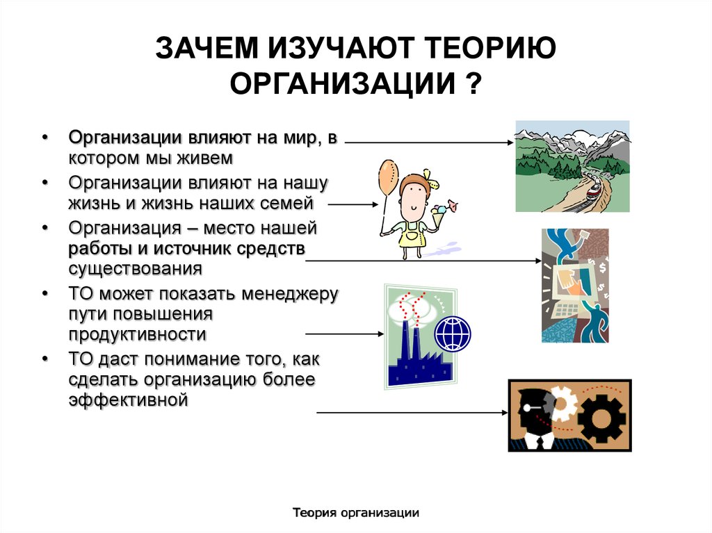 Изучи теорию. Зачем изучать менеджмент. Зачем изучать экономическую теорию. Зачем молодому человеку изучать менеджмент. Зачем изучать систему права.