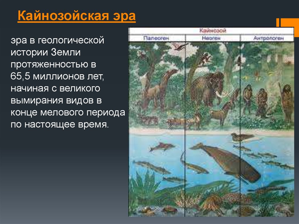 Появление кайнозойской эры. Четвертичный период кайнозойской эры животные. Антропогеновый период кайнозойской эры растения. Кайнозойская Эра периоды животные.