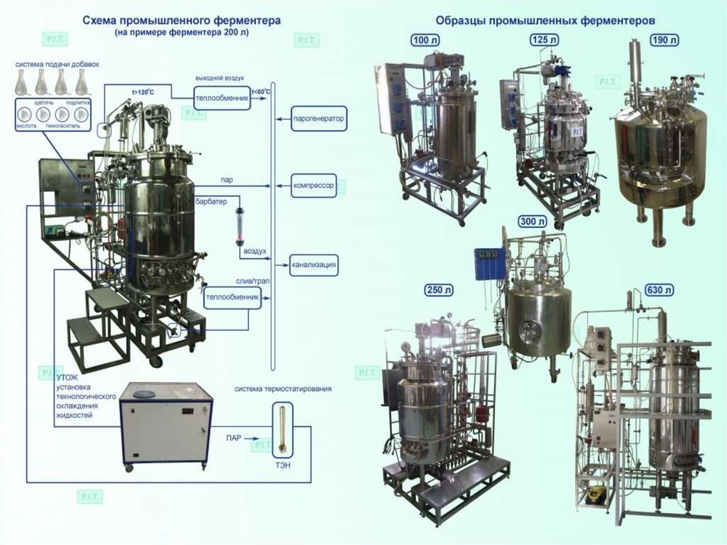 Подготовка к ферментации. Ферментер для культивирования микроорганизмов схема. Ферментер биореактор. Барботажный ферментер схема. Биореактор ферментер чертеж.