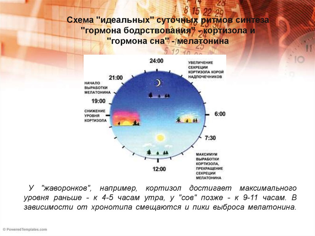 Биоритм пермь. Уменьшение светового дня и биоритмы. Биоритмы сна в 8 месяцев. Биоритмы Уран. Биоритмы воды Живая и мертвая.