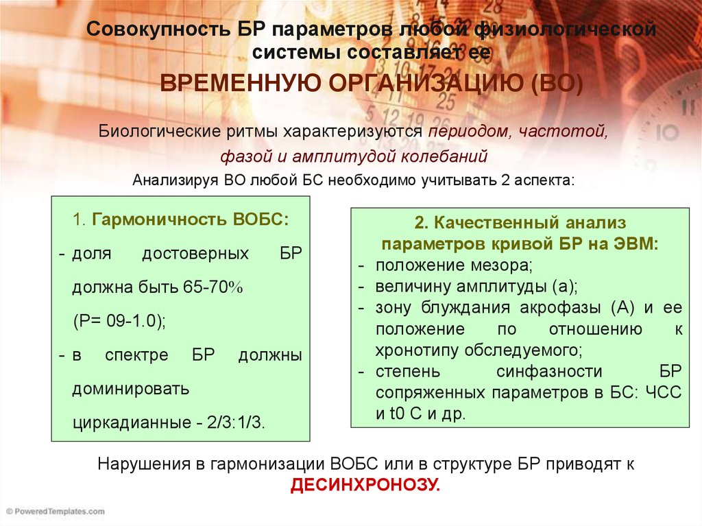 Значение биоритмов десинхроноз презентация