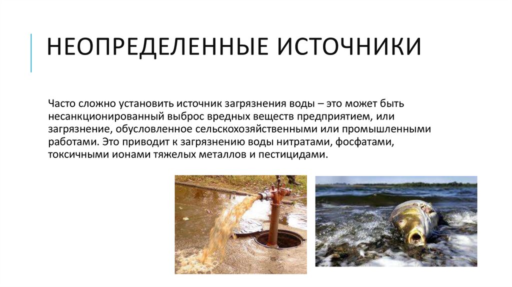 Исследовательский проект загрязнение воды