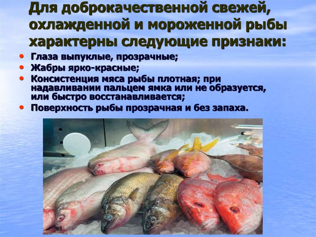 Что можно есть после рыбы. Требования к качеству охлажденной рыбы. Замороженная и охлажденная рыба. Оценка качества мороженой рыбы. Требования к качеству мороженой рыбы.