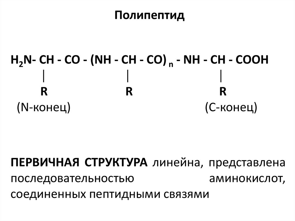 Полипептид это. Общая формула полипептидов. Полипептид белок формула. Общая формула пептидов. Трипептид общая формула.