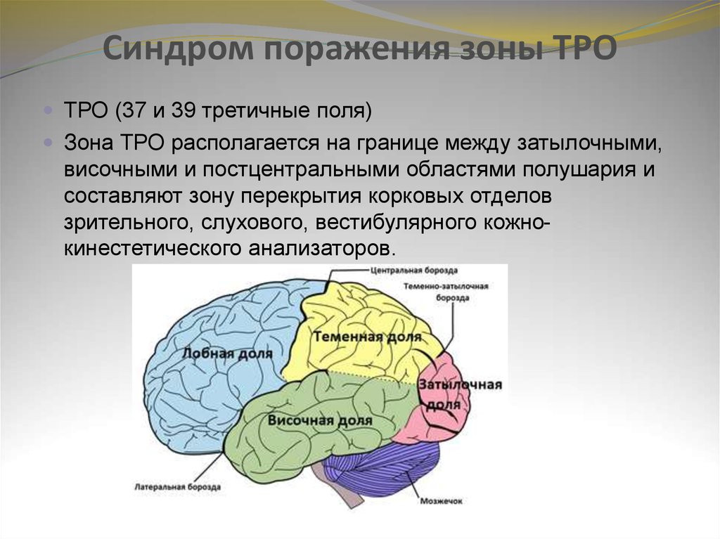 Какая зона в височной доле. Височно-теменно-затылочной области коры головного мозга (зоны ТПО. Зона ТПО В мозге. Синдром поражения зоны TPO. Синдром поражения теменно-затылочных отделов.