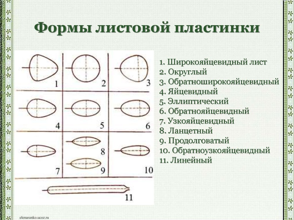 Название продолговатого полуцилиндрического торта