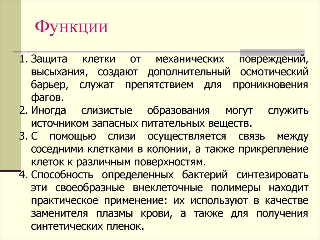 Лекция по теме Общая морфология и химический состав клеток