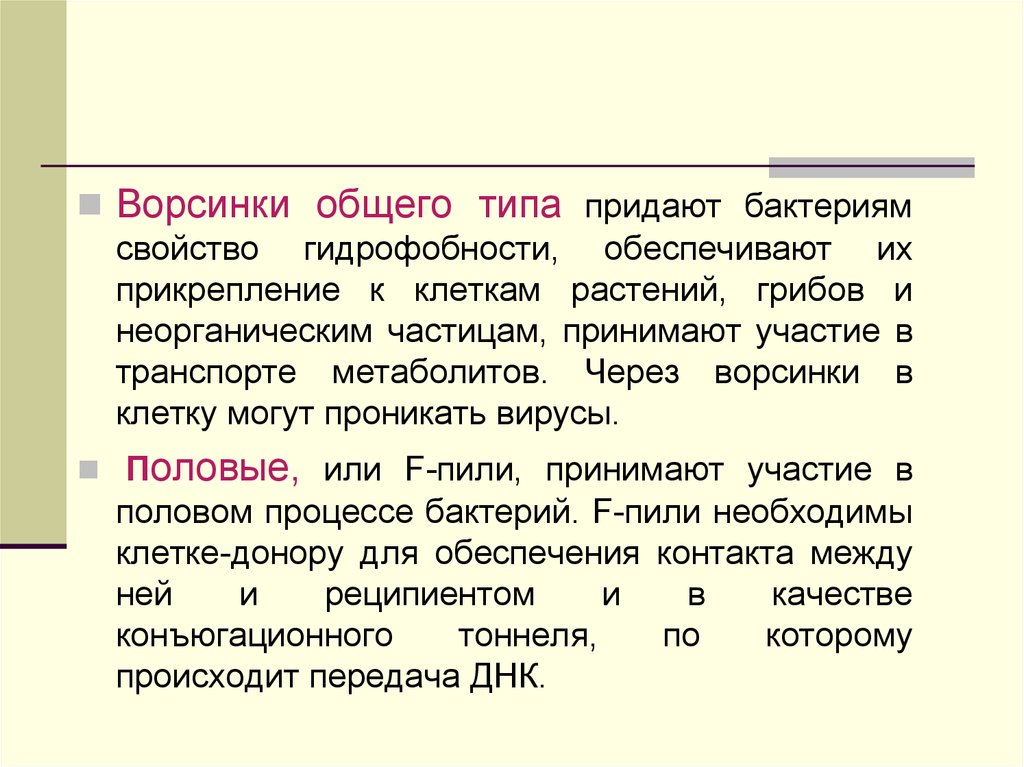 «Общая морфология организмов» 1866. Функции ворсинок общего типа. Разновидности придания.