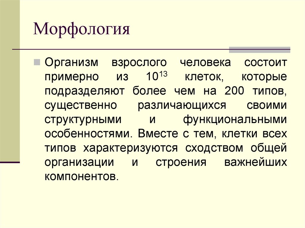 Морфология образцов это