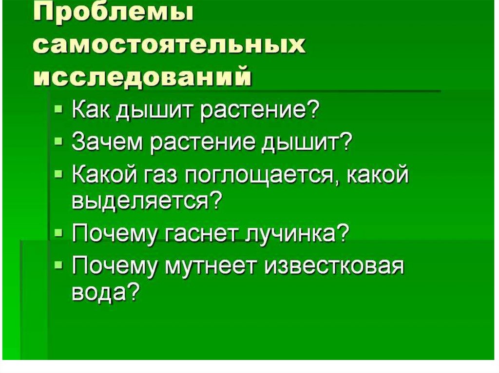 Проблемы самостоятельные. Зачем растения дышат.