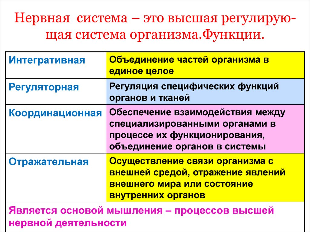 Как нервная система регулирует органы. Регулирующие системы организма. Основные регулирующие системы организма. Регулирующие функции организма. Регулирующими системами организма являются.