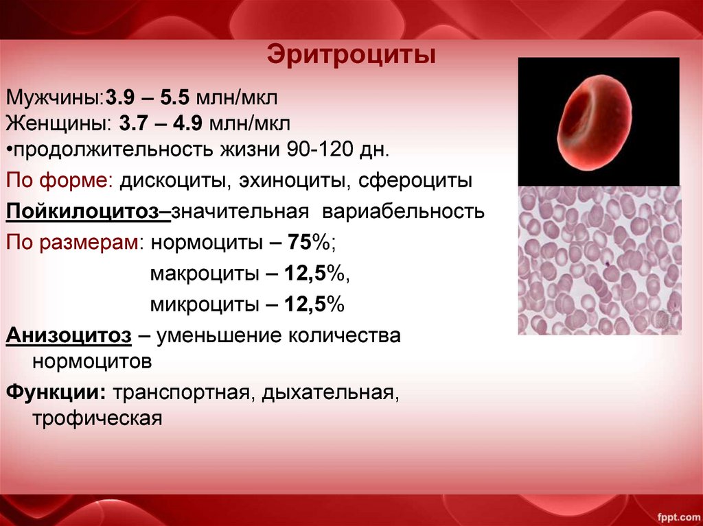 Норма анализа гемоглобина мужчины