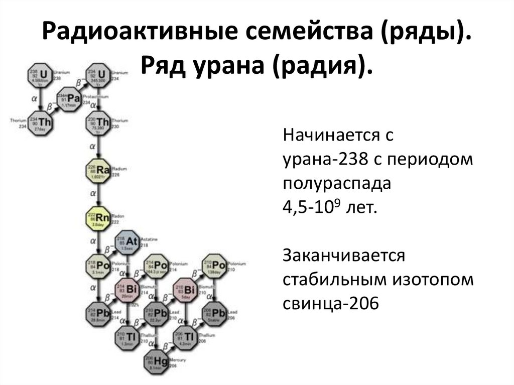 Радиоактивные семейства (ряды). Ряд урана (радия).