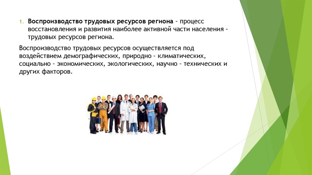 Региональный ресурс. Воспроизводство трудовых ресурсов. Воспроизводство трудовых ресурсов региона. Стадии в процессе воспроизводства трудовых ресурсов:. Трудовые ресурсы Центрально Черноземного района.