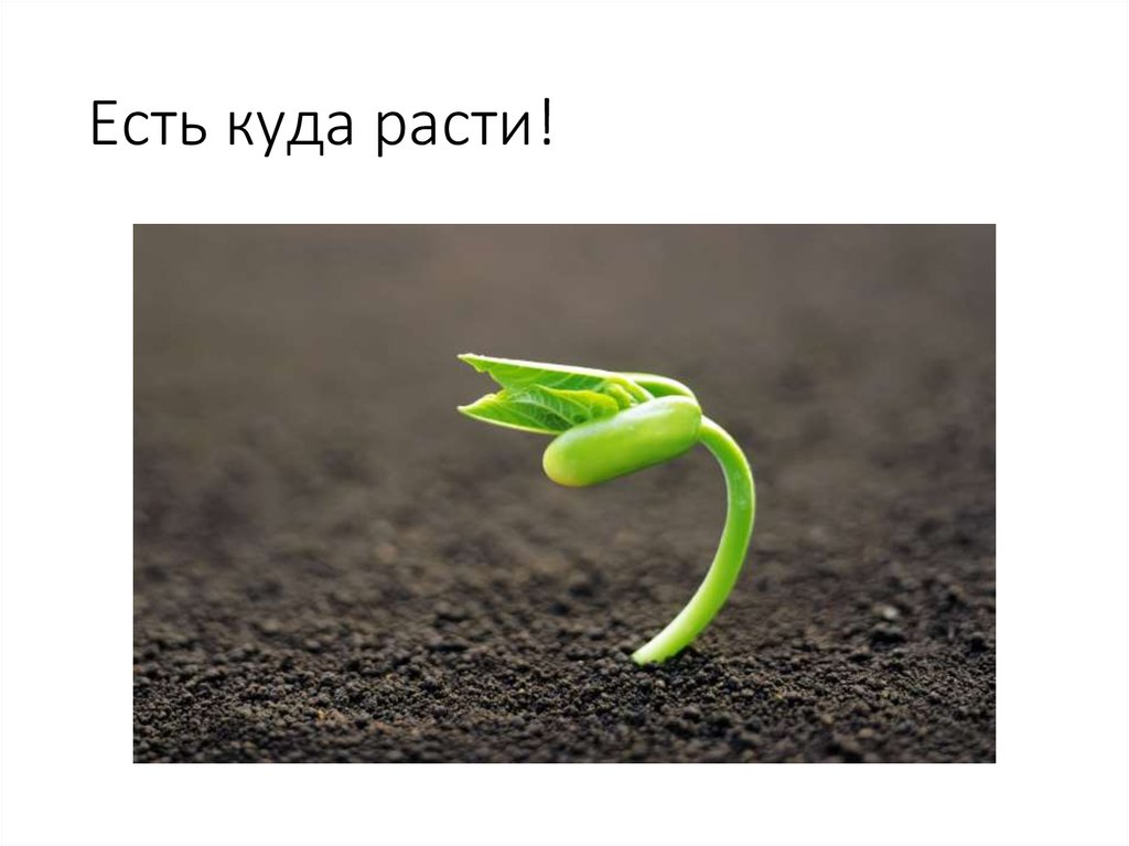 Есть куда расти!