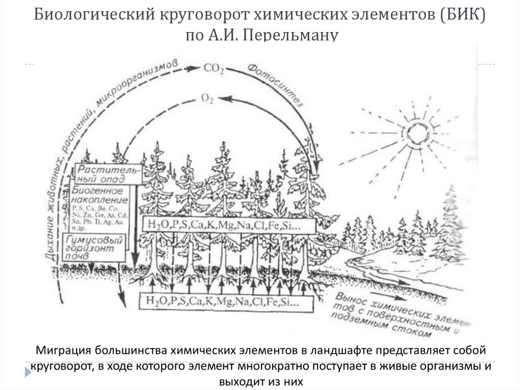 Схемы круговоротов химических элементов