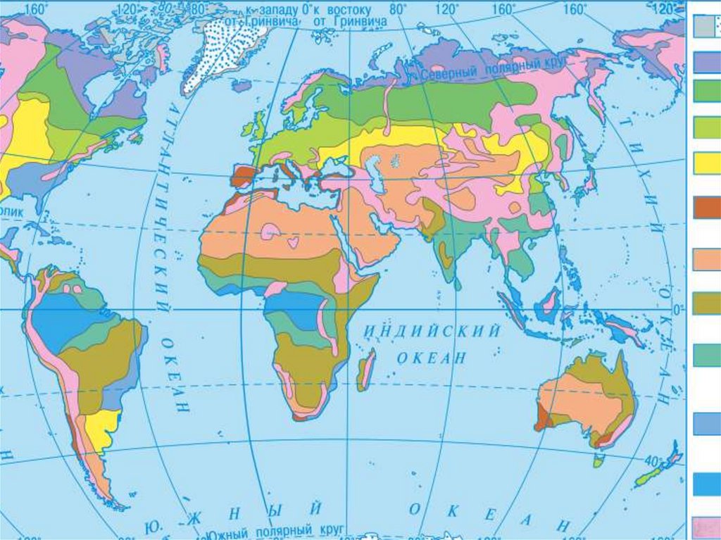 Контурная карта природные зоны мира 6 класс для раскрашивания