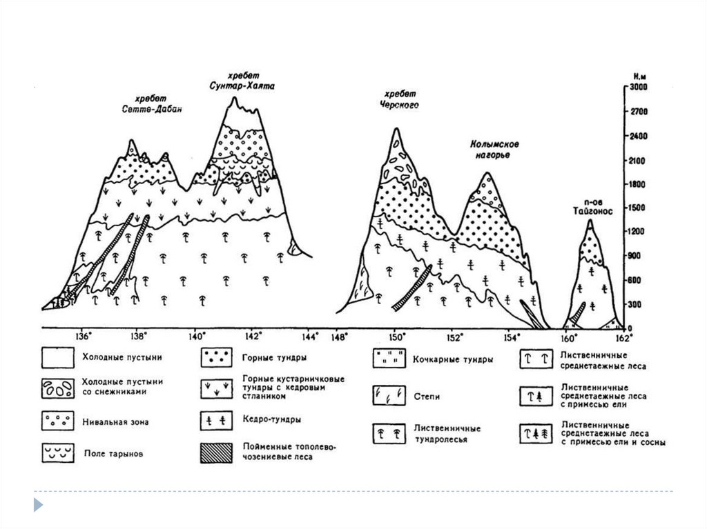 Природные зоны гор алтая таблица. Схема ВЫСОТНОЙ поясности хребет Черского. Высотная поясность Верхоянского хребта. Высотная поясность срединного хребта Камчатки. Высотная поясность хребта Черского.