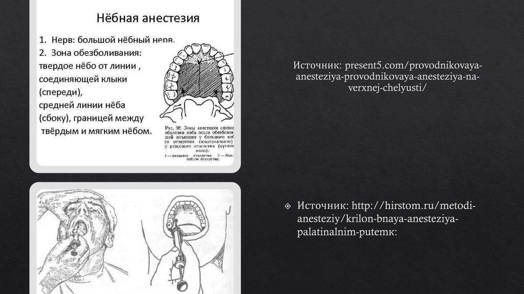 Федор зубов презентация