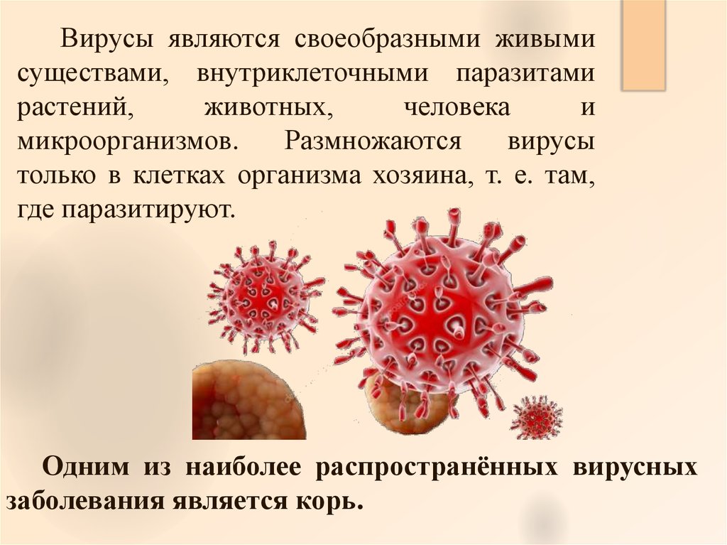 Вирус живущий в организме человека