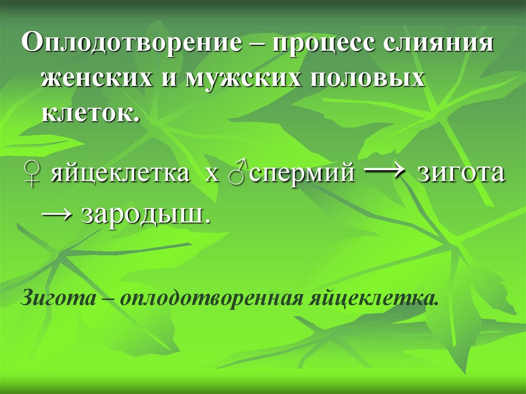 Процесс слияния мужской и женской. Процесс сливания мужской и женской. Процесс слияния мужской и женской клеток. Оплодотворение у растений это процесс слияния. Слайды размножение и оплодотворение у растений..