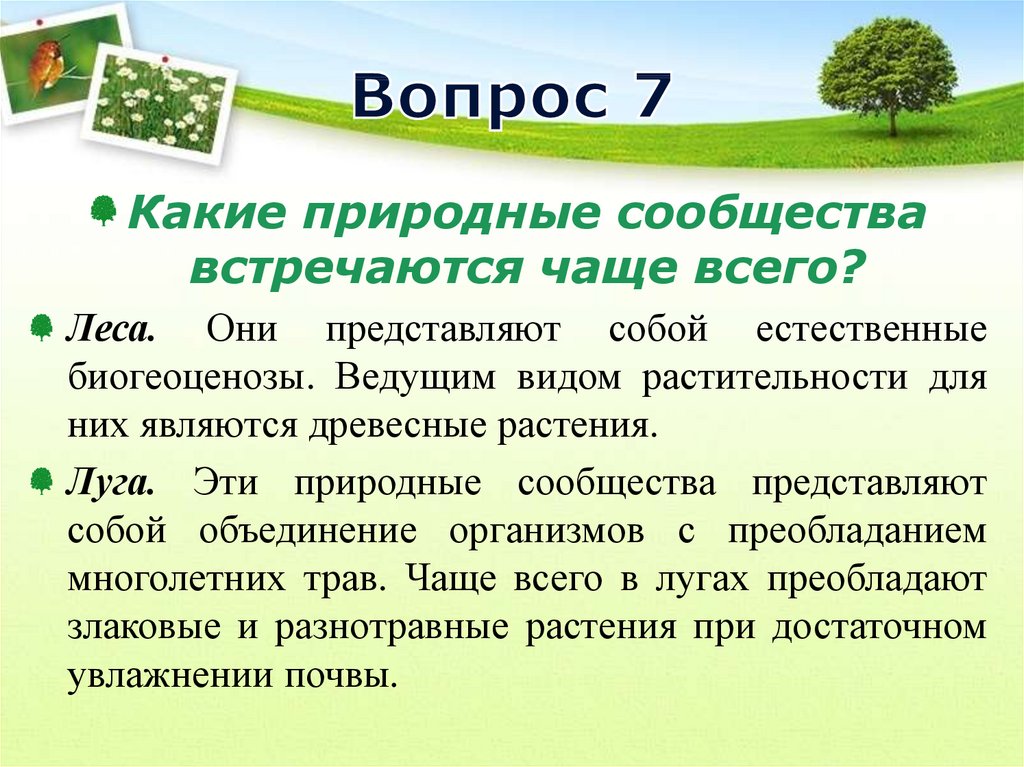 Какие природные сообщества отражают данные представленных ниже диаграмм